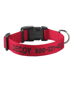 Personalized Pet Collar