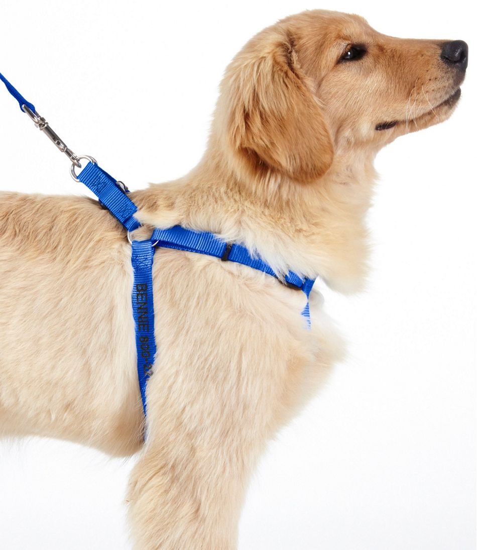 Personalized Pet Harness  Collars, Leads & Leashes at L.L.Bean