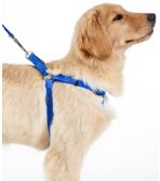 Personalized Pet Harness