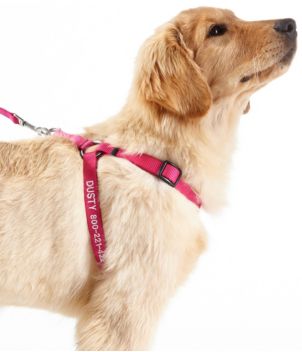 Personalized Pet Harness