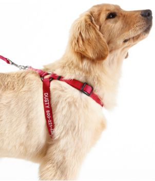 Personalized Pet Harness