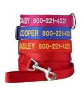 Personalized Pet Leash  Collars, Leads & Leashes at L.L.Bean