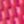 Pink Flamingo, color 2 of 3