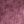 Dark Plum Rose, color 4 of 6