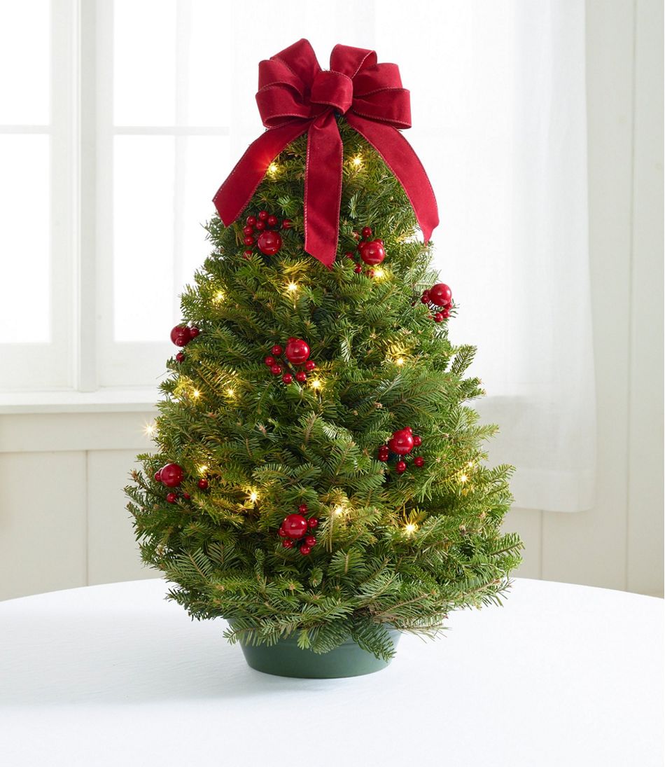 Traditional Tabletop Christmas Tree Prelit