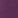 Elderberry, color 4 of 4