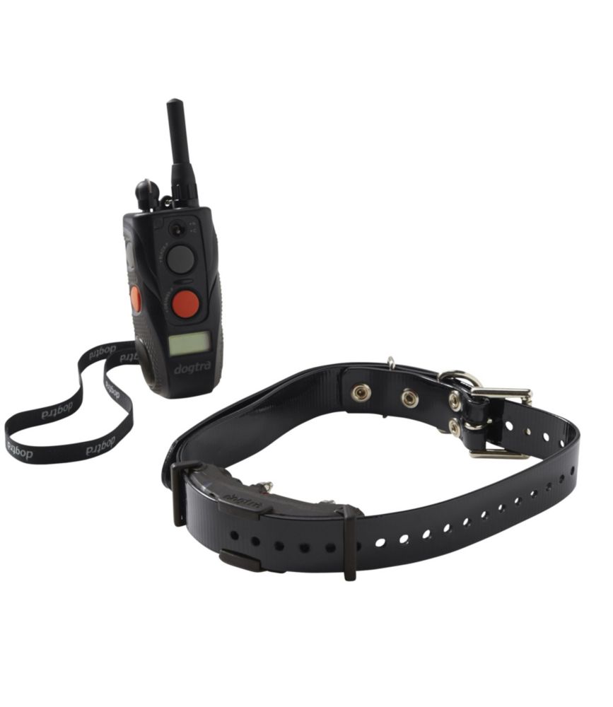 dogtra electric collar