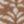 Toasted Coconut Medallion, color 4 of 7