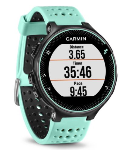reset garmin 235