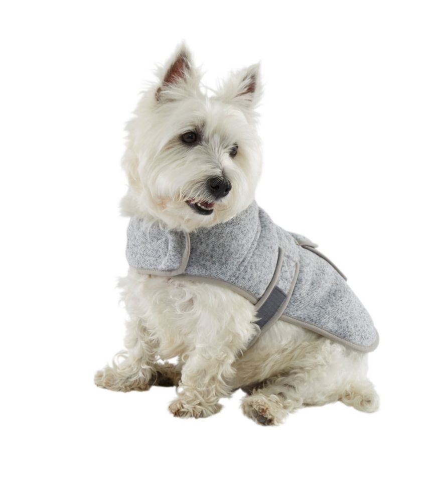 unc dog sweater