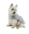 ll bean dog sweater fleece