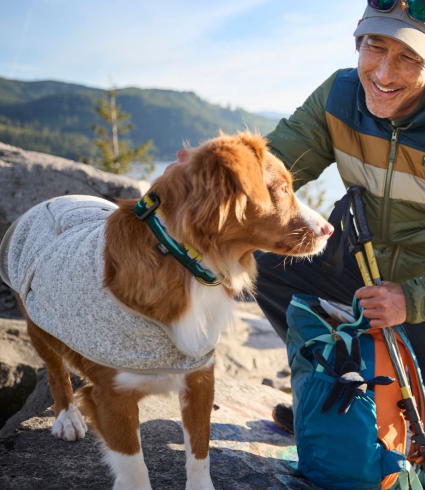 Sweater Fleece Jacket for Dogs Jackets Vests at L.L.Bean