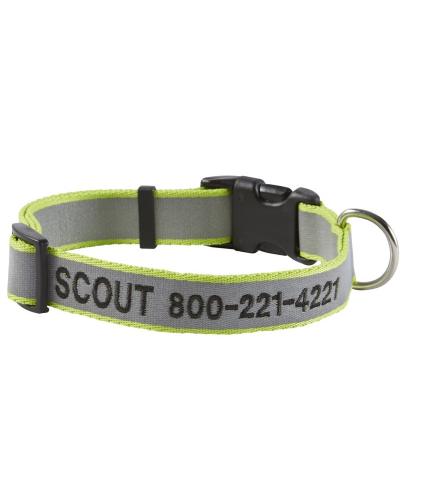 personalized pet collar