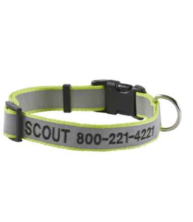 Dog collars and outlet leads