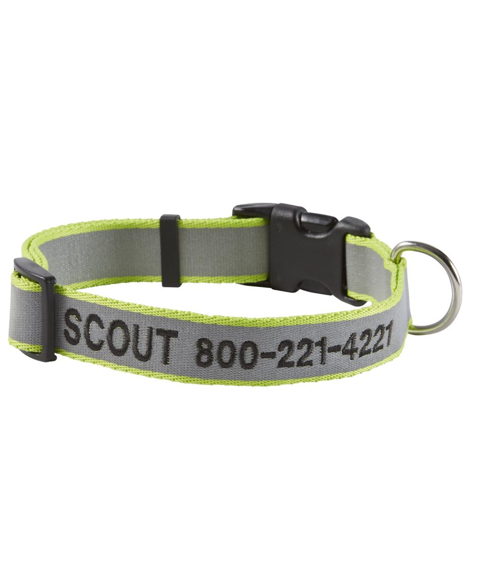 Personalized reflective sales dog collar