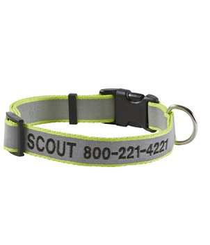 Personalized Pet Collar, Reflective