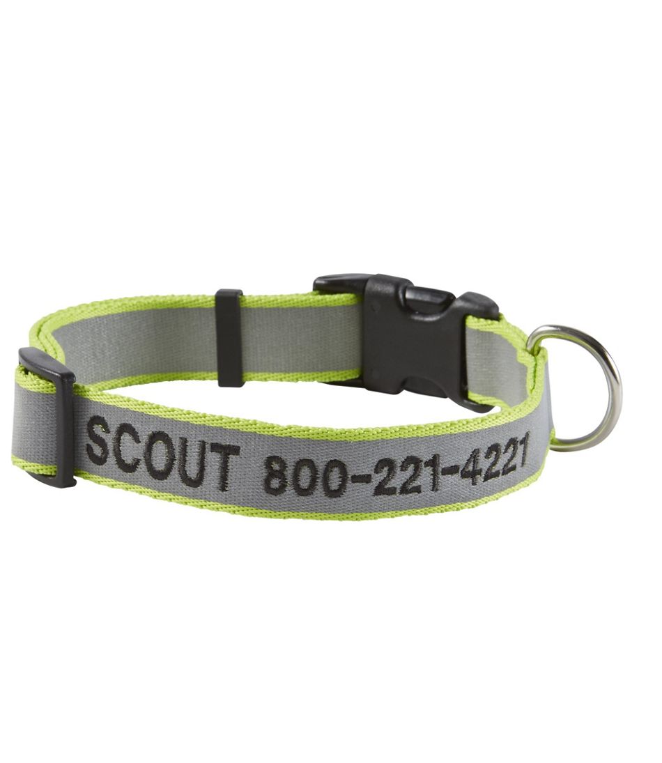 Personalized Dog Collars with Metal Buckle – GoTags