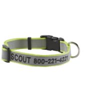 Personalized pet collar hotsell