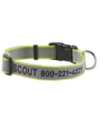 Personalized Pet/Dog Collar Blue Medium, Nylon/Metal/Plastic | L.L.Bean