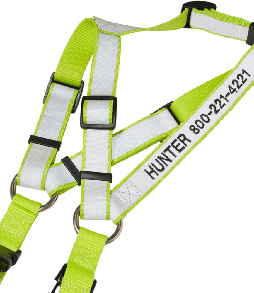 Personalized Reflective Pet Harness Collars Leads Leashes At L L Bean