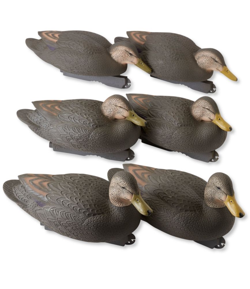 Avery Pro-Grade Decoys, Black Duck 6-Pack | Hunting Accessories at L.L.Bean