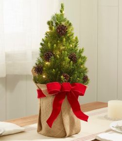 Holiday Wreaths And Christmas Decorations