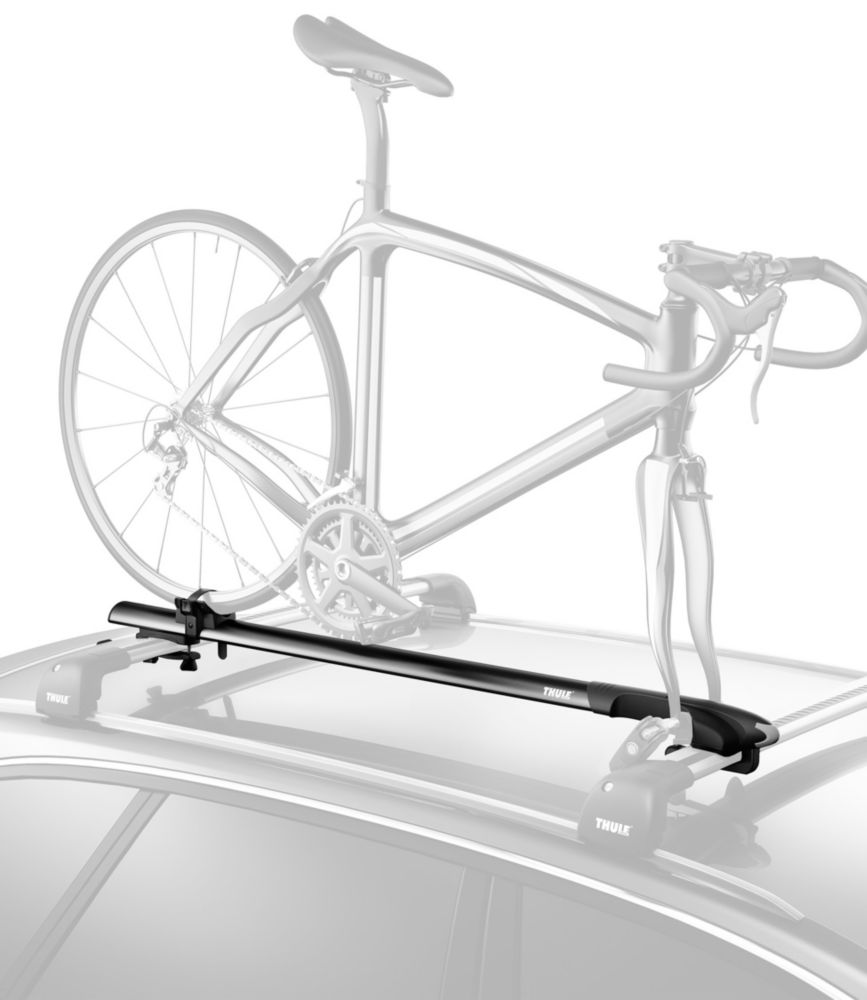 llbean bike rack