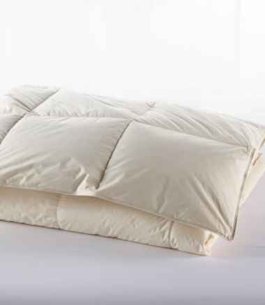 Cotton Down Comforter