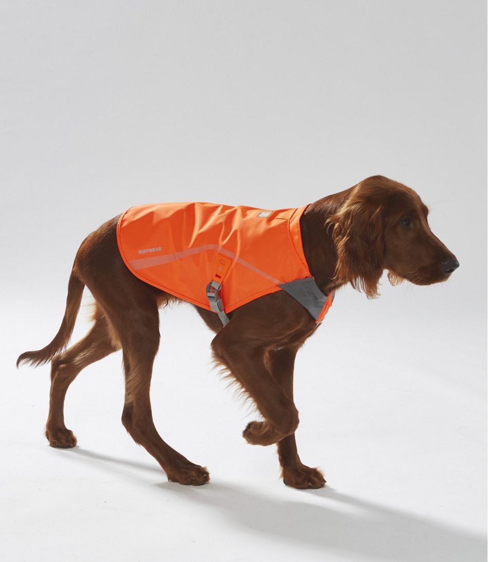 Track Jacket for Dogs