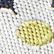 Classic Navy/Daisies
