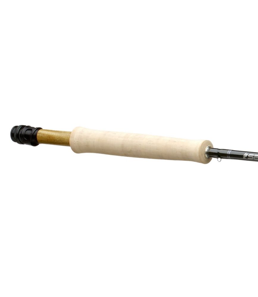 sage 10 weight fly rod