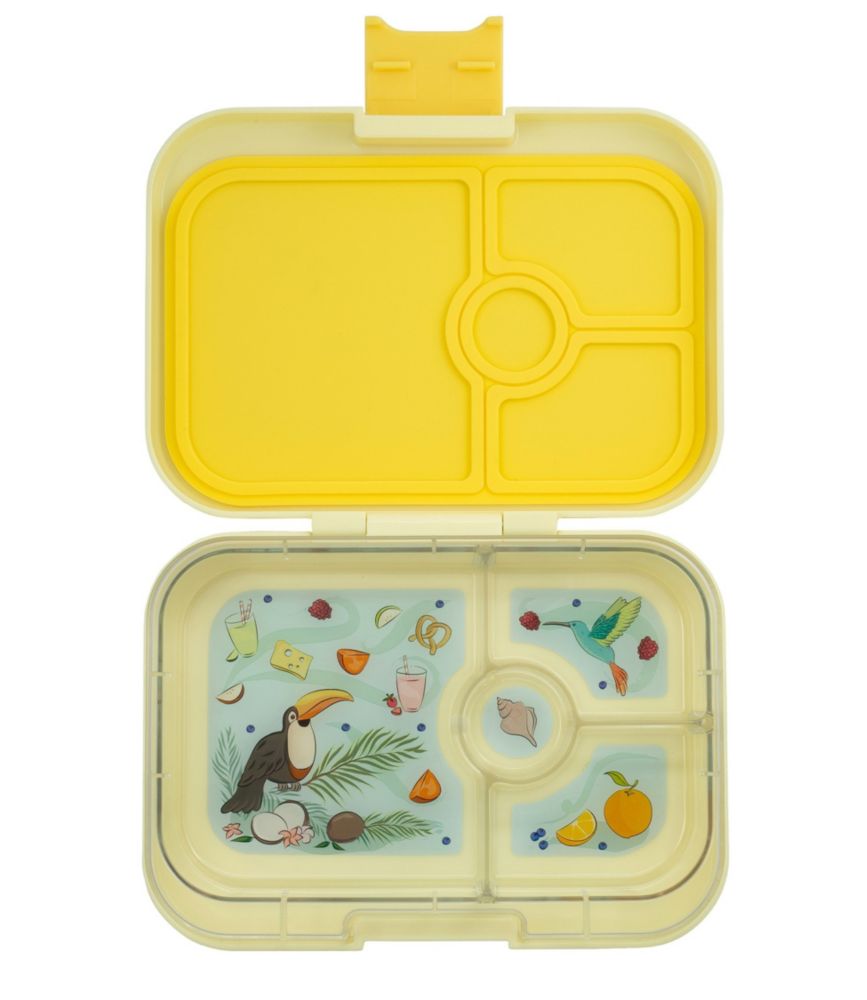 ll bean dinosaur lunch box