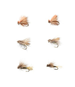 Umpqua Six-Piece Caddis Dry Fly Selection