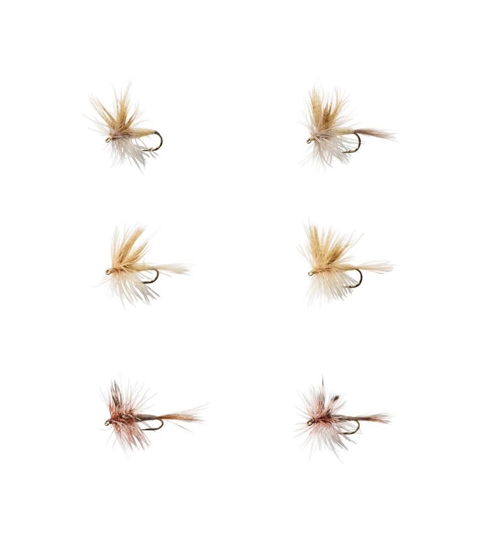 Todavía Elocuente Reacondicionamiento Umpqua Six-Piece Mayfly Dry Fly Selection | Freshwater Flies at L.L.Bean