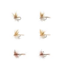 Umpqua 12-Piece Eastern Trout Fly Selection | Freshwater Flies at