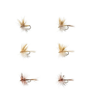 Umpqua Six-Piece Mayfly Dry Fly Selection
