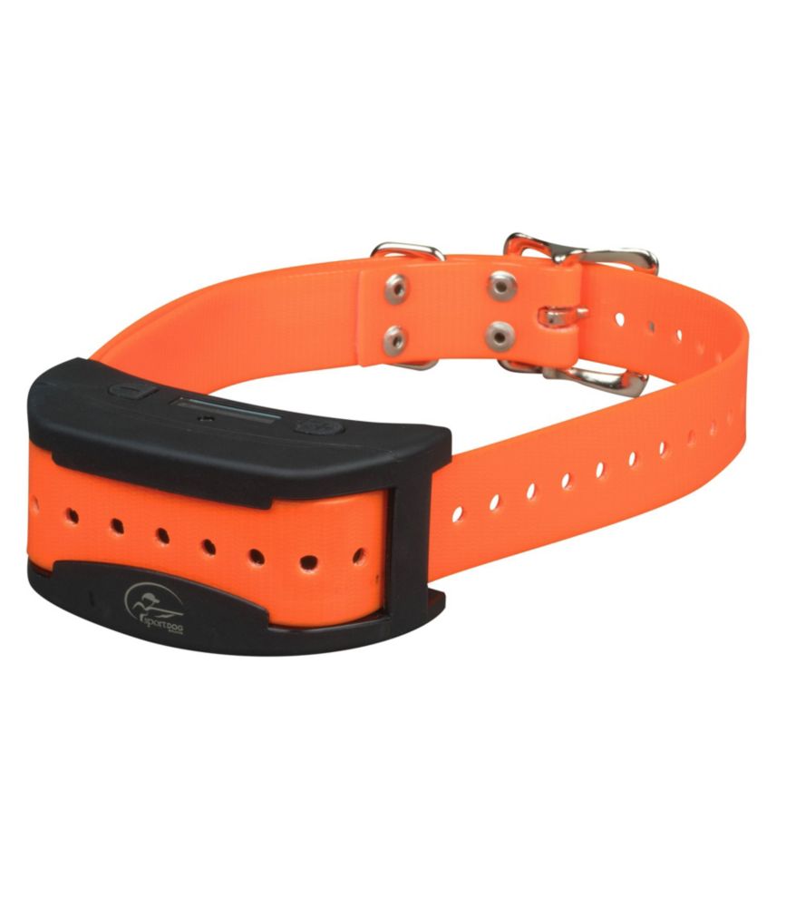 ll bean dog collar