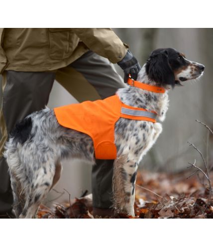 Orange safety store vest for dogs