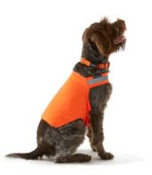 Blaze orange dog hunting hot sale vest