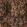  Color Option: Brown, $80.