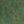 Loden, color 1 of 1