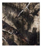 Detail, view 11 of 12