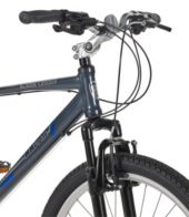 Ll bean best sale acadia cruiser bike