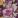 Black Plum Floral, color 5 of 5