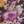 Black Plum Floral, color 6 of 6