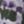 French Lilac Floral, color 1 of 6