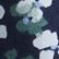 Classic Navy Poppies