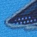 Glacier Blue Shark