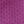 Wild Aster, color 1 of 1