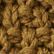 Brassy Olive